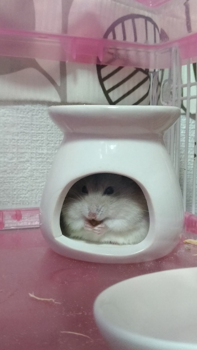 f:id:oe526:20190827164656j:plain f:id:oe526:20190827164656j:plain