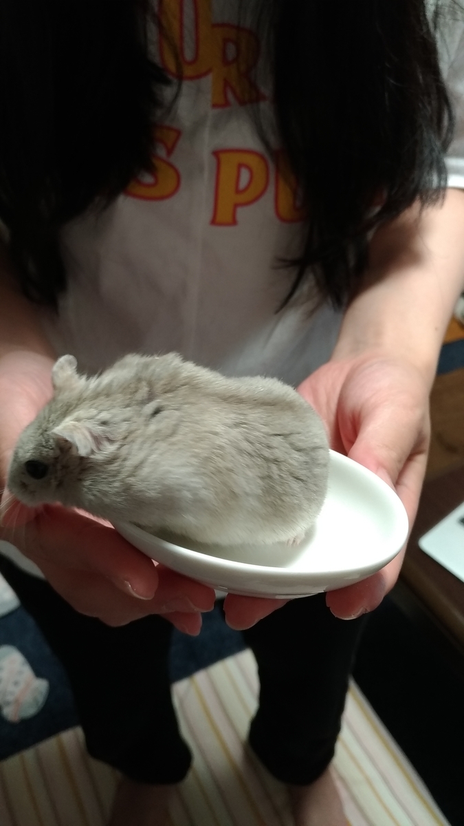 f:id:oe526:20190827170055j:plain f:id:oe526:20190827170055j:plain