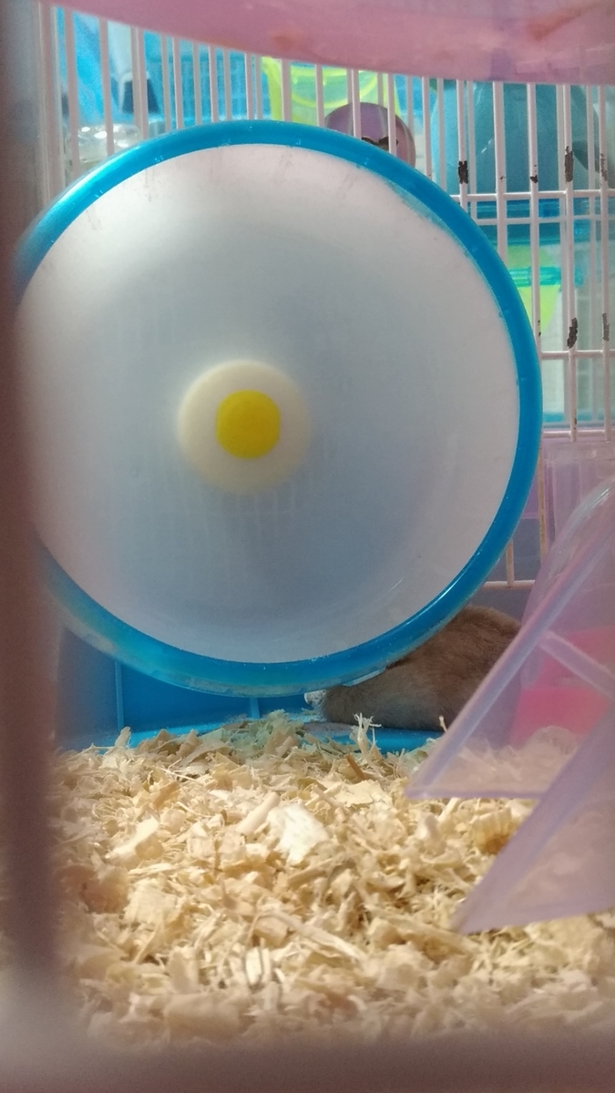 f:id:oe526:20190830130408j:plain f:id:oe526:20190830130408j:plain