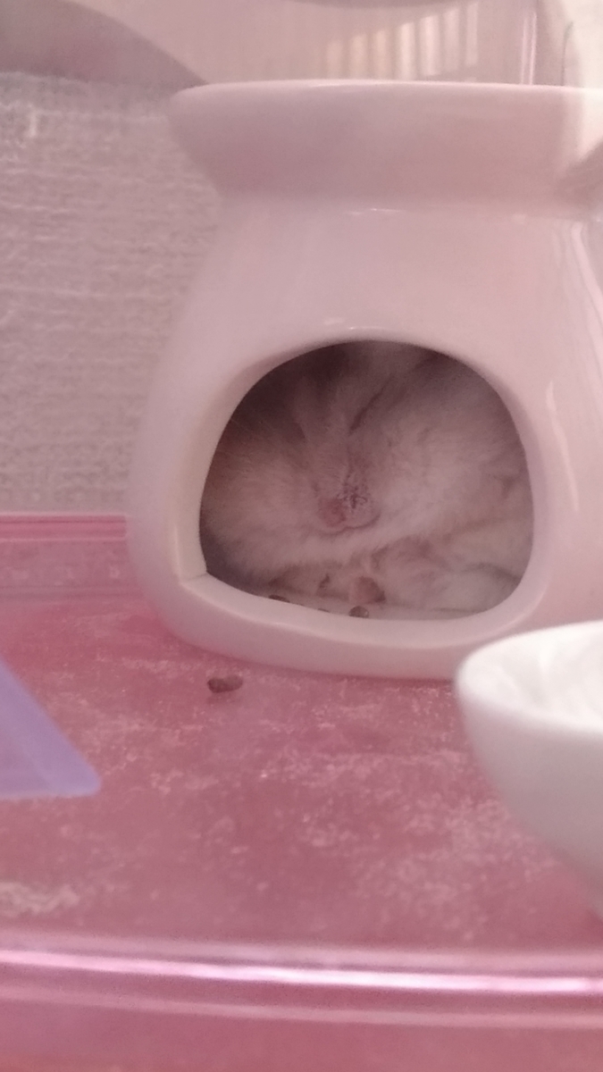 f:id:oe526:20190903192653j:plain f:id:oe526:20190903192653j:plain