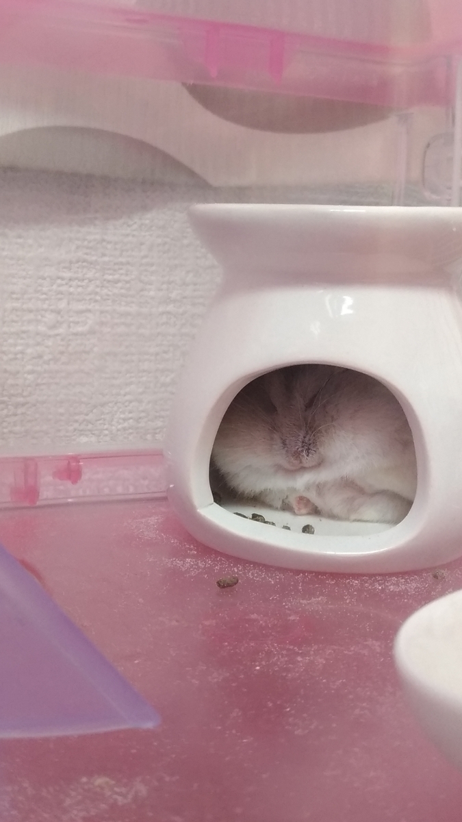 f:id:oe526:20190903192700j:plain f:id:oe526:20190903192700j:plain