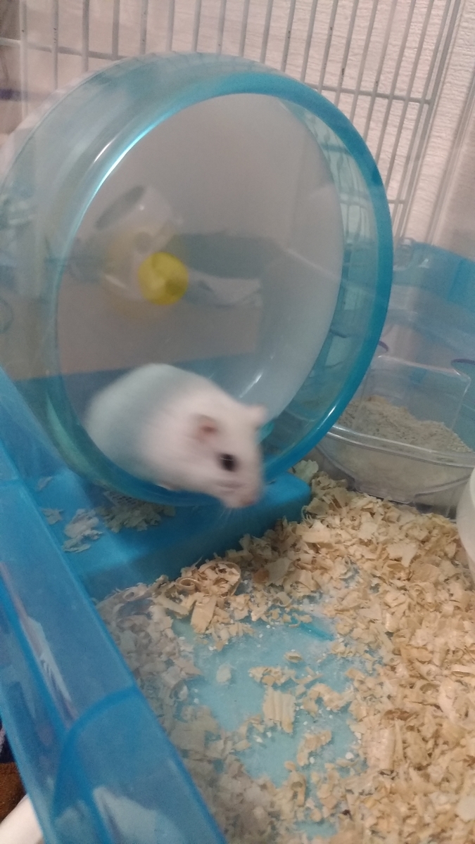 f:id:oe526:20190911112938j:plain f:id:oe526:20190911112938j:plain