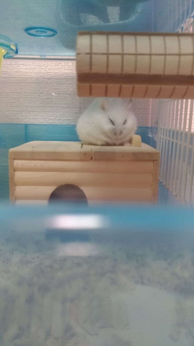 f:id:oe526:20191002135932j:plain f:id:oe526:20191002135932j:plain