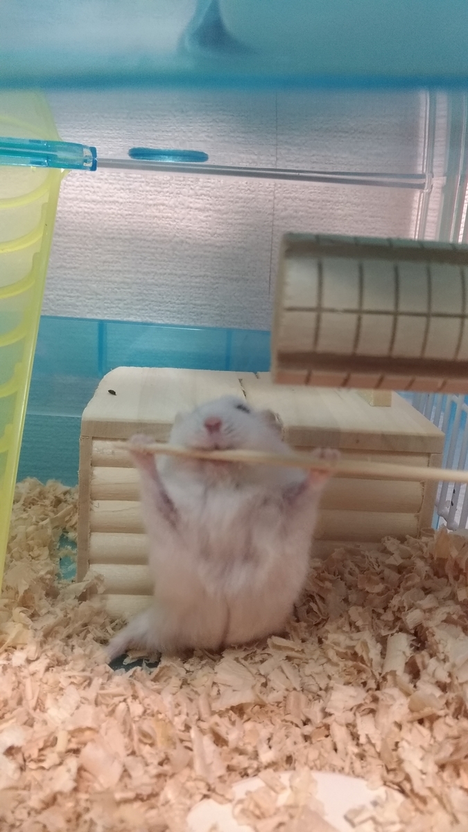 f:id:oe526:20191023095834j:plain f:id:oe526:20191023095834j:plain