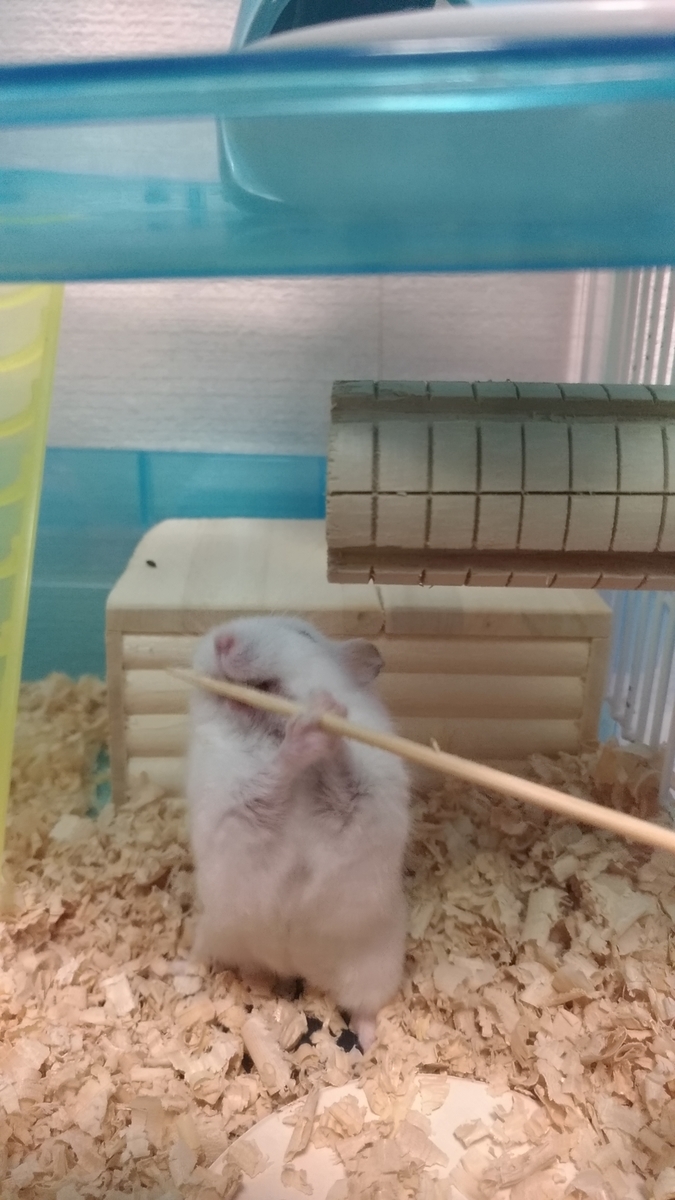 f:id:oe526:20191023095841j:plain f:id:oe526:20191023095841j:plain