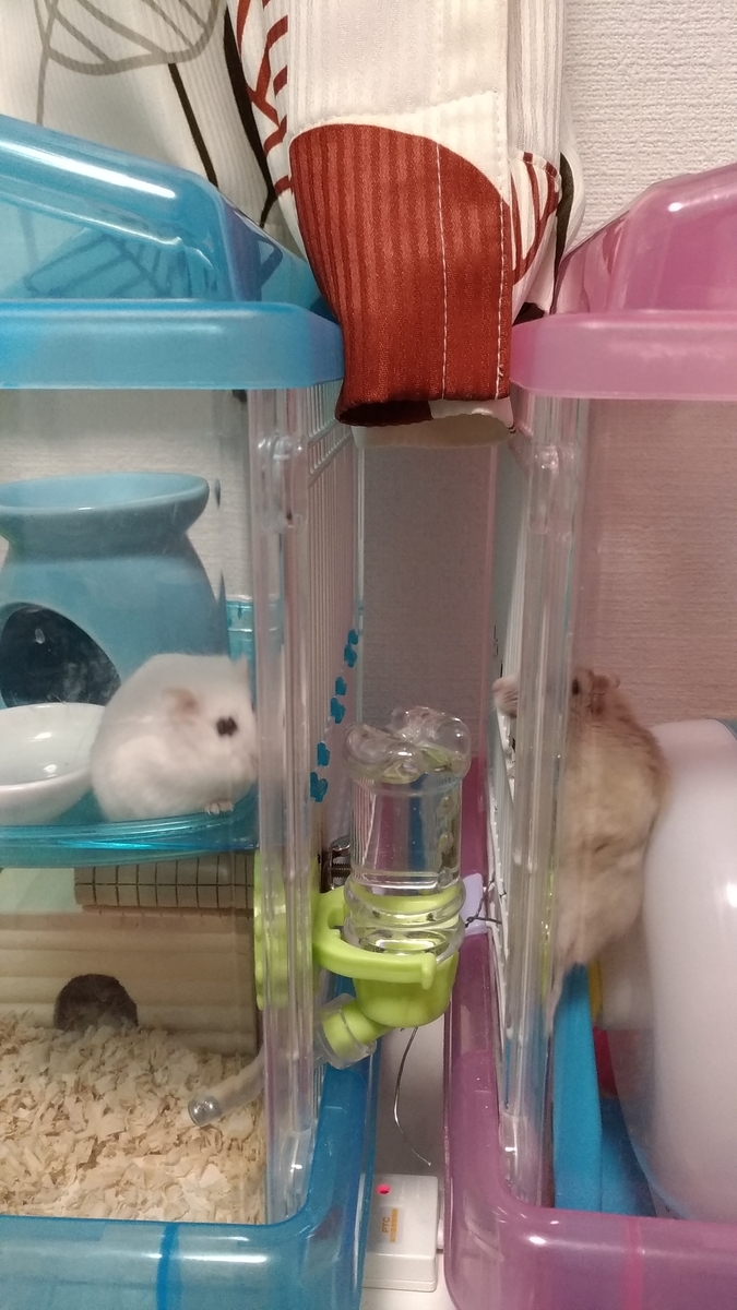 f:id:oe526:20191024105705j:plain f:id:oe526:20191024105705j:plain