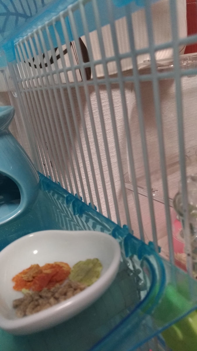 f:id:oe526:20191024140121j:plain f:id:oe526:20191024140121j:plain