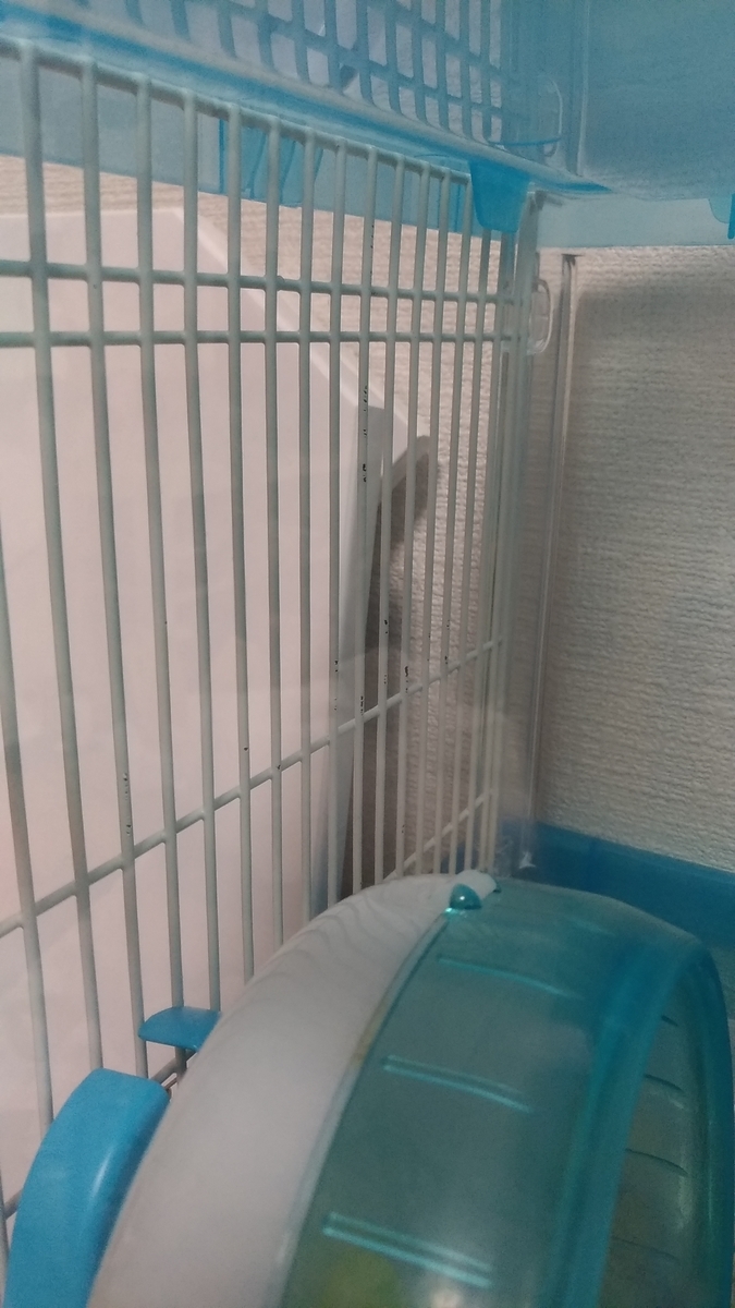 f:id:oe526:20191024140131j:plain f:id:oe526:20191024140131j:plain