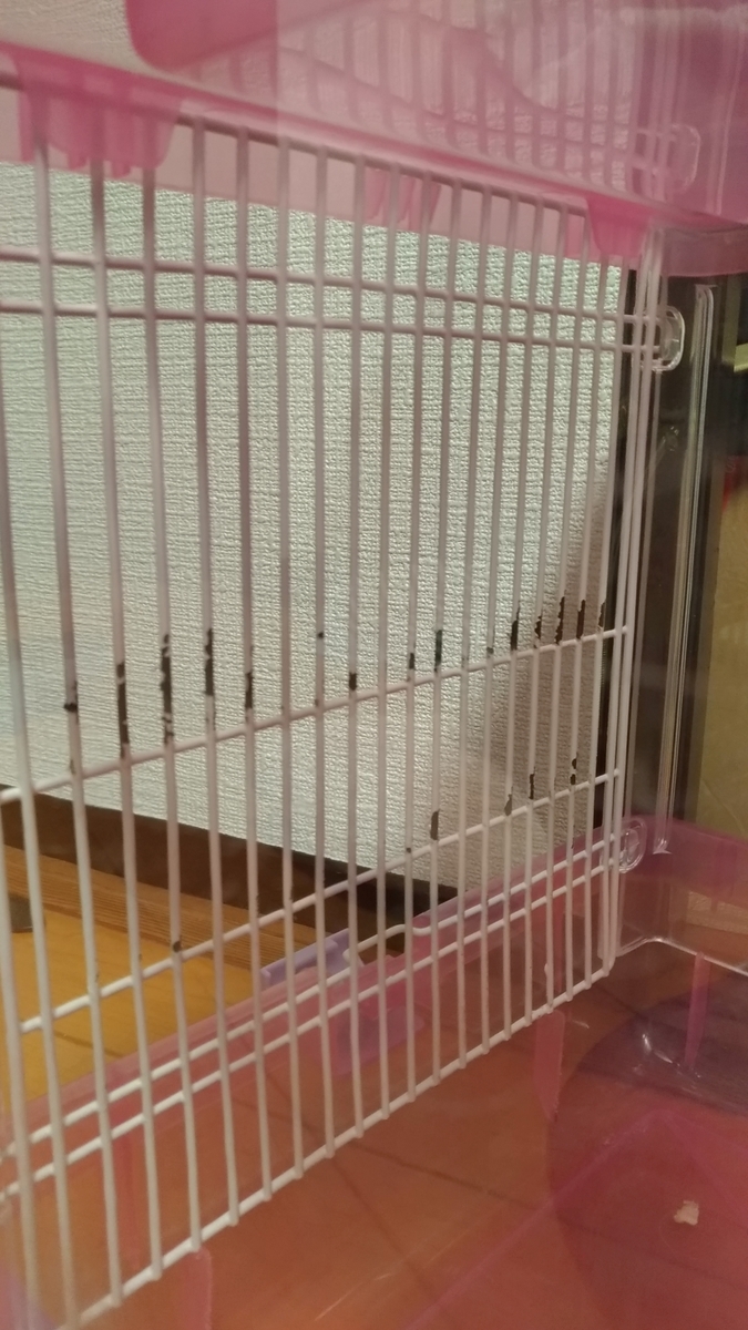f:id:oe526:20191024140215j:plain f:id:oe526:20191024140215j:plain