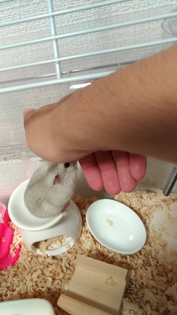 f:id:oe526:20191024143635j:plain f:id:oe526:20191024143635j:plain