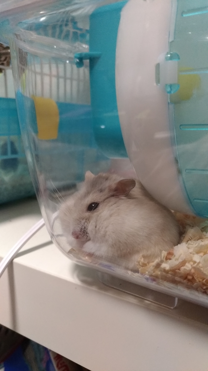 f:id:oe526:20191125162525j:plain f:id:oe526:20191125162525j:plain