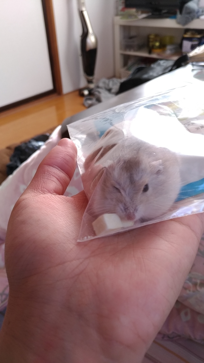 f:id:oe526:20191125185626j:plain f:id:oe526:20191125185626j:plain
