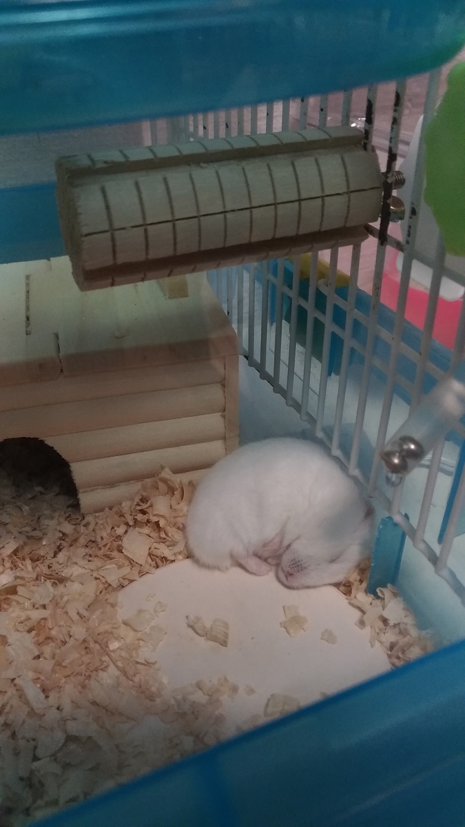 f:id:oe526:20191209132457j:plain f:id:oe526:20191209132457j:plain