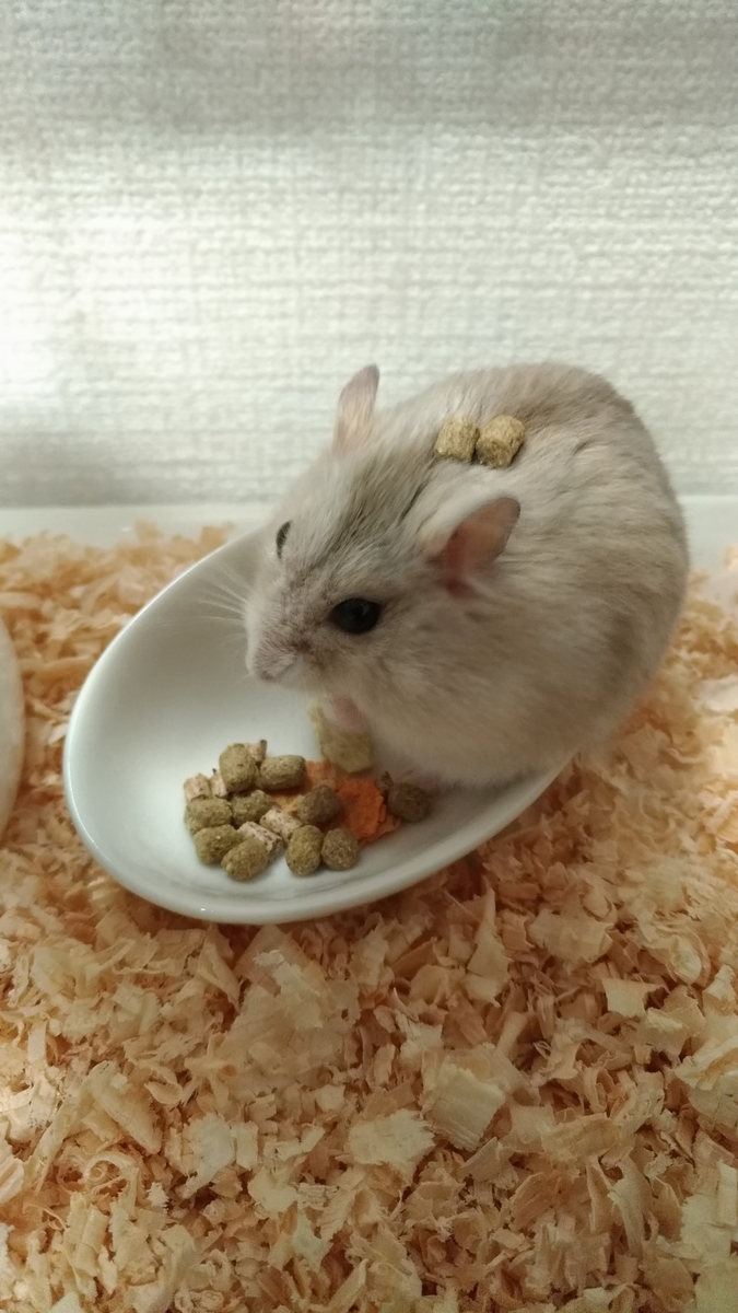 f:id:oe526:20191209151443j:plain f:id:oe526:20191209151443j:plain