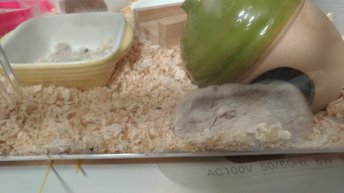 f:id:oe526:20191216170140j:plain f:id:oe526:20191216170140j:plain