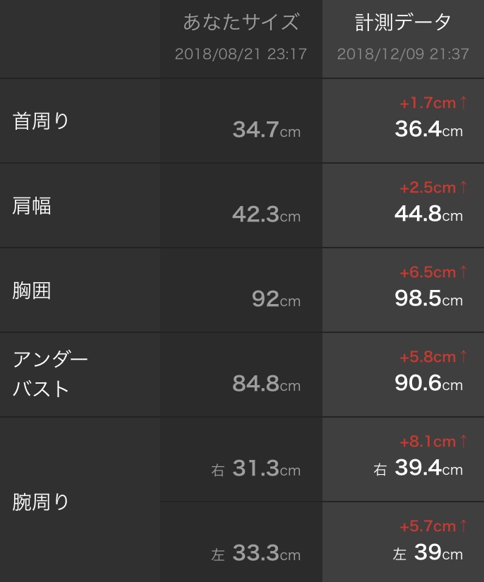 f:id:oec7dwayne7kj:20181210175453j:plain