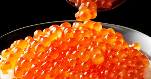 f:id:oedamame:20211104144135p:plain