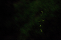 20100621212053