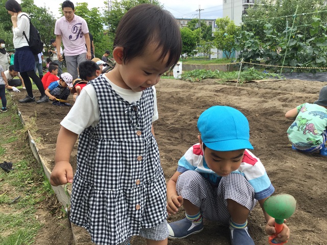 f:id:office-ebisu:20160612174330j:plain f:id:office-ebisu:20160612174330j:plain