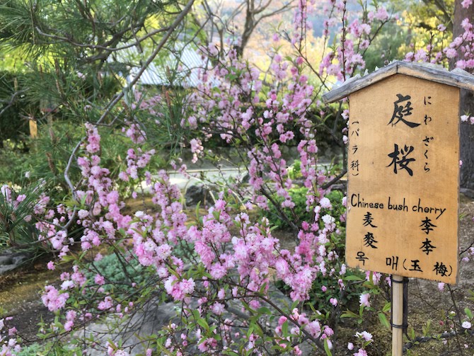 f:id:office-ebisu:20180504231915j:plain f:id:office-ebisu:20180504231915j:plain