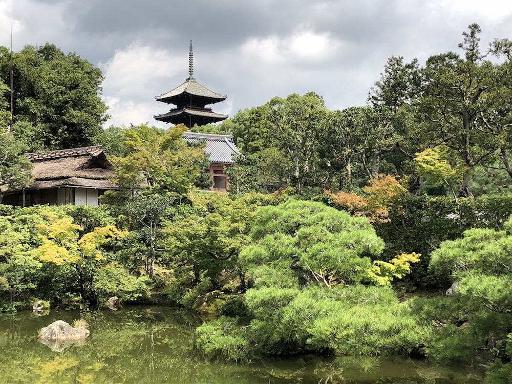 f:id:office-ebisu:20180920191015j:plain f:id:office-ebisu:20180920191015j:plain