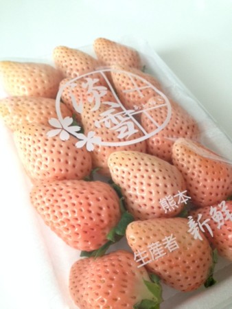 f:id:office-konan:20150207153715j:image f:id:office-konan:20150207153715j:image