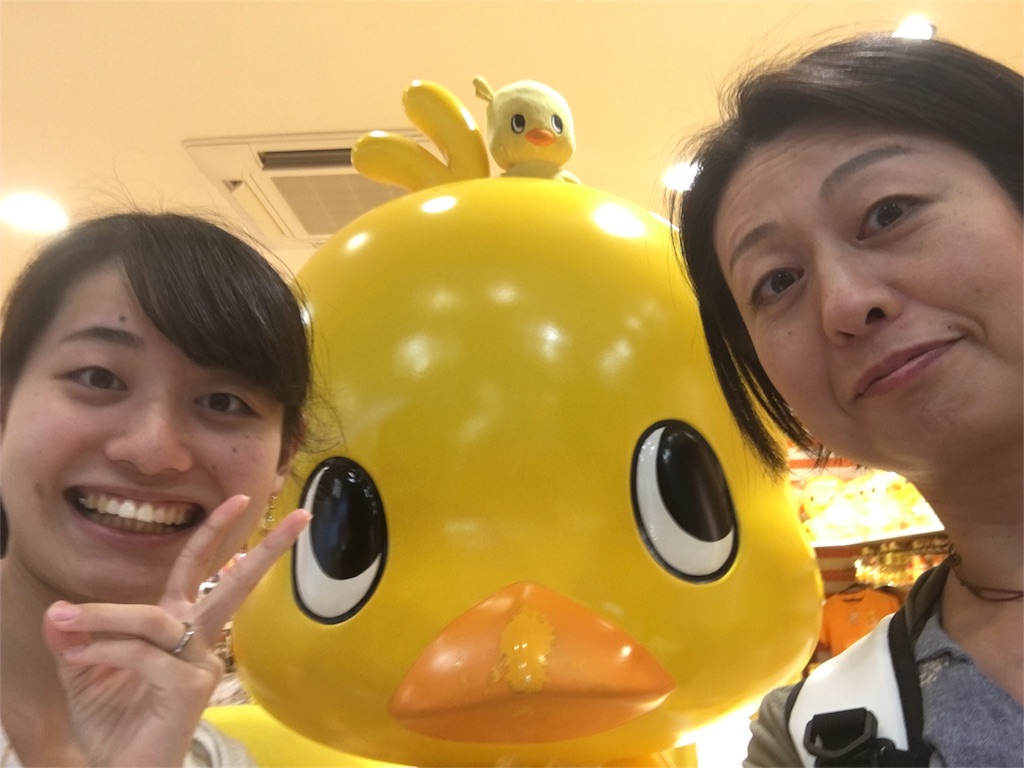 f:id:office338:20180620105035j:image