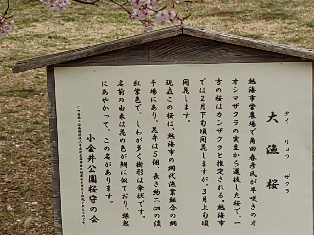 f:id:office_kujira:20210326034216j:plain