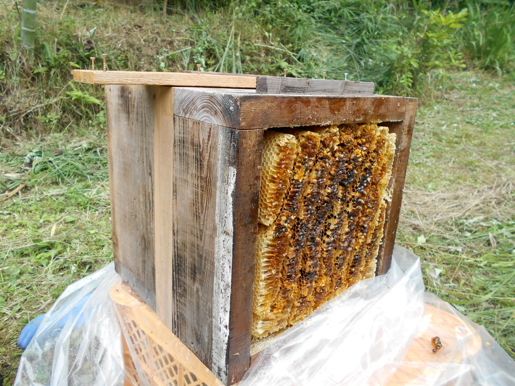 f:id:officeameyamajp:20180703190117j:plain