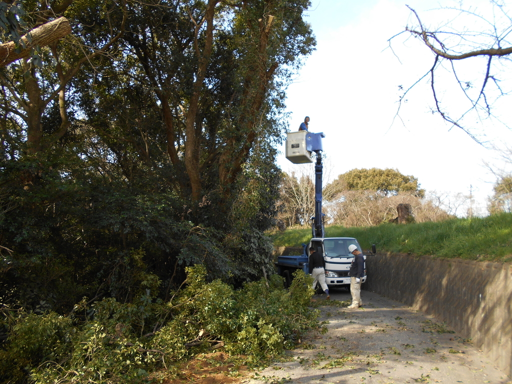 f:id:officeameyamajp:20190224224122j:plain