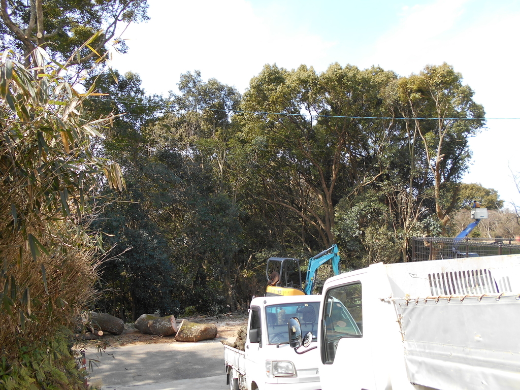 f:id:officeameyamajp:20190224224158j:plain