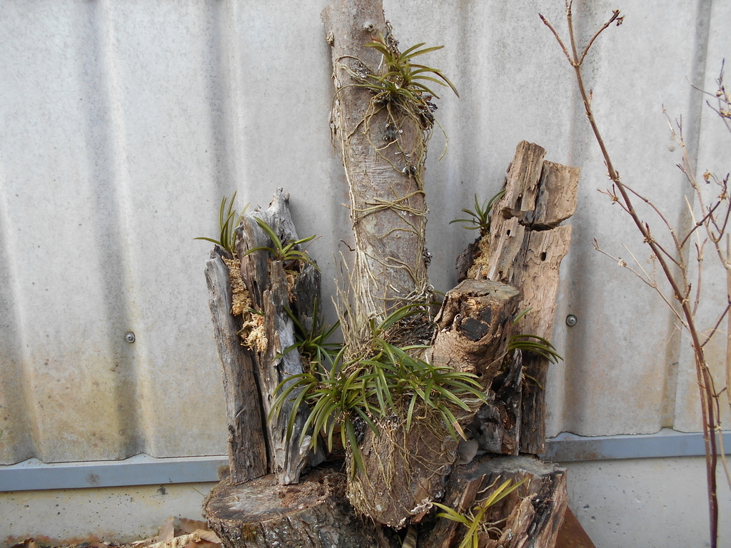 f:id:officeameyamajp:20190302194053j:plain