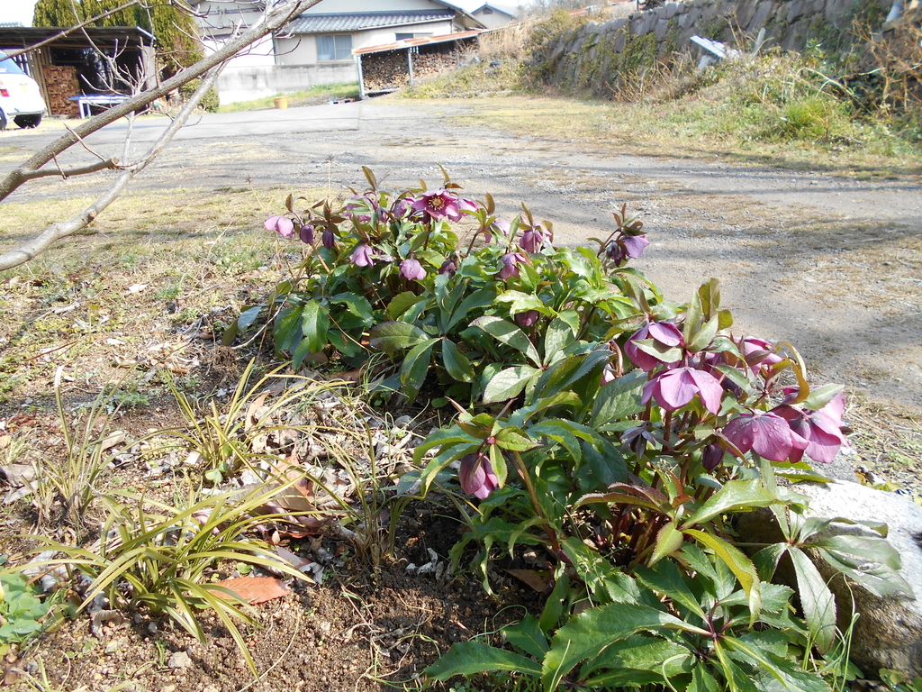 f:id:officeameyamajp:20190303224227j:plain