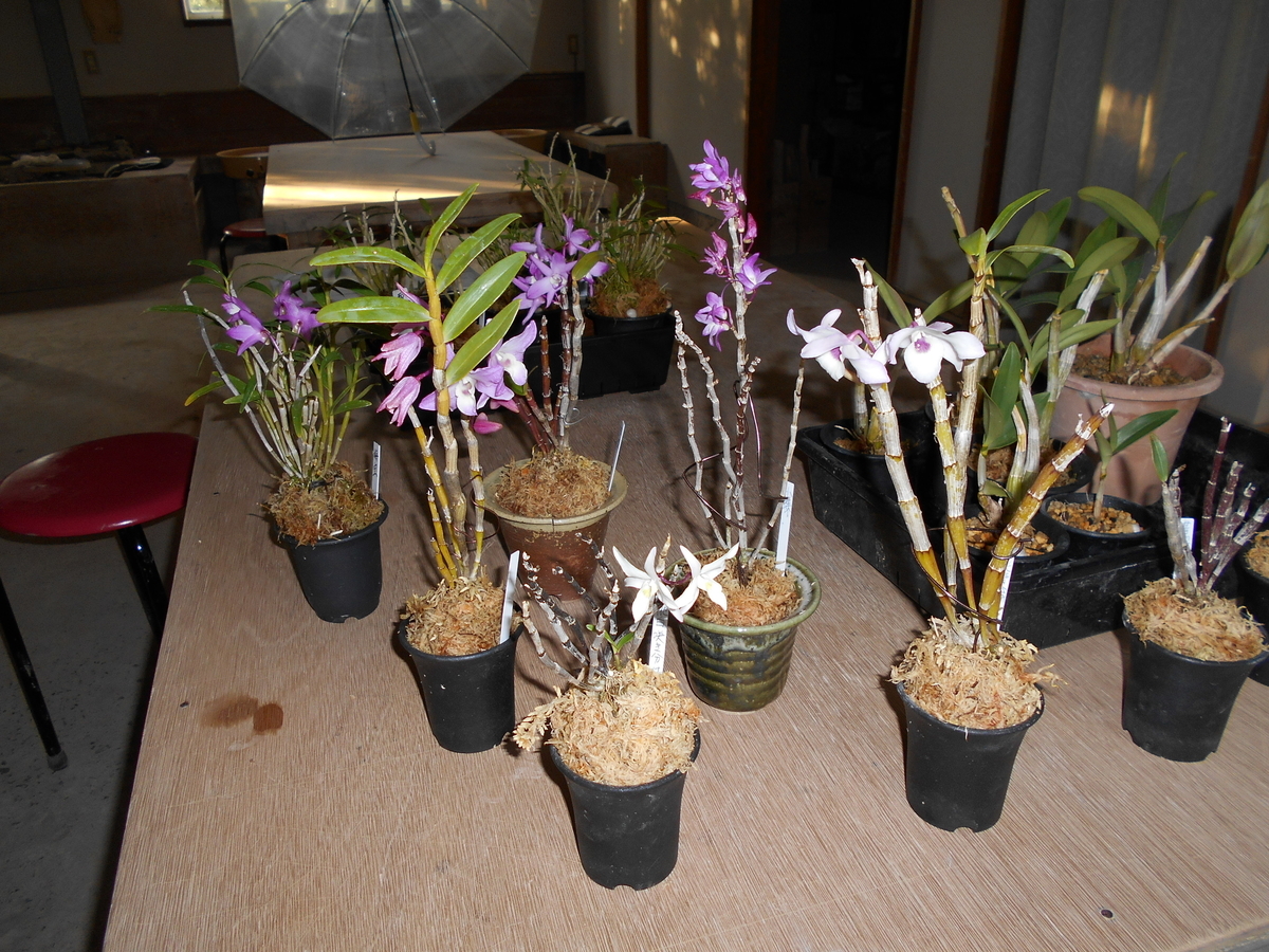 f:id:officeameyamajp:20190321185934j:plain