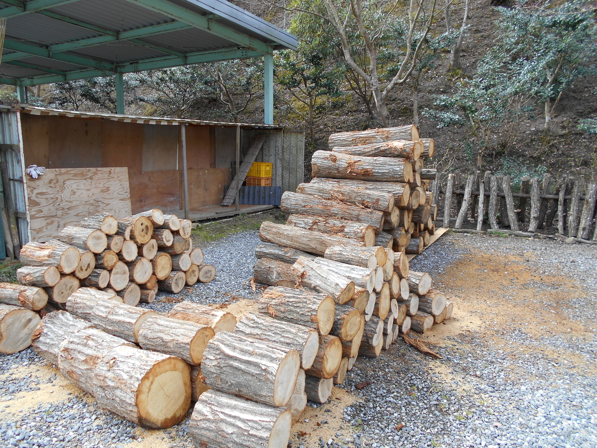 f:id:officeameyamajp:20190402192525j:plain