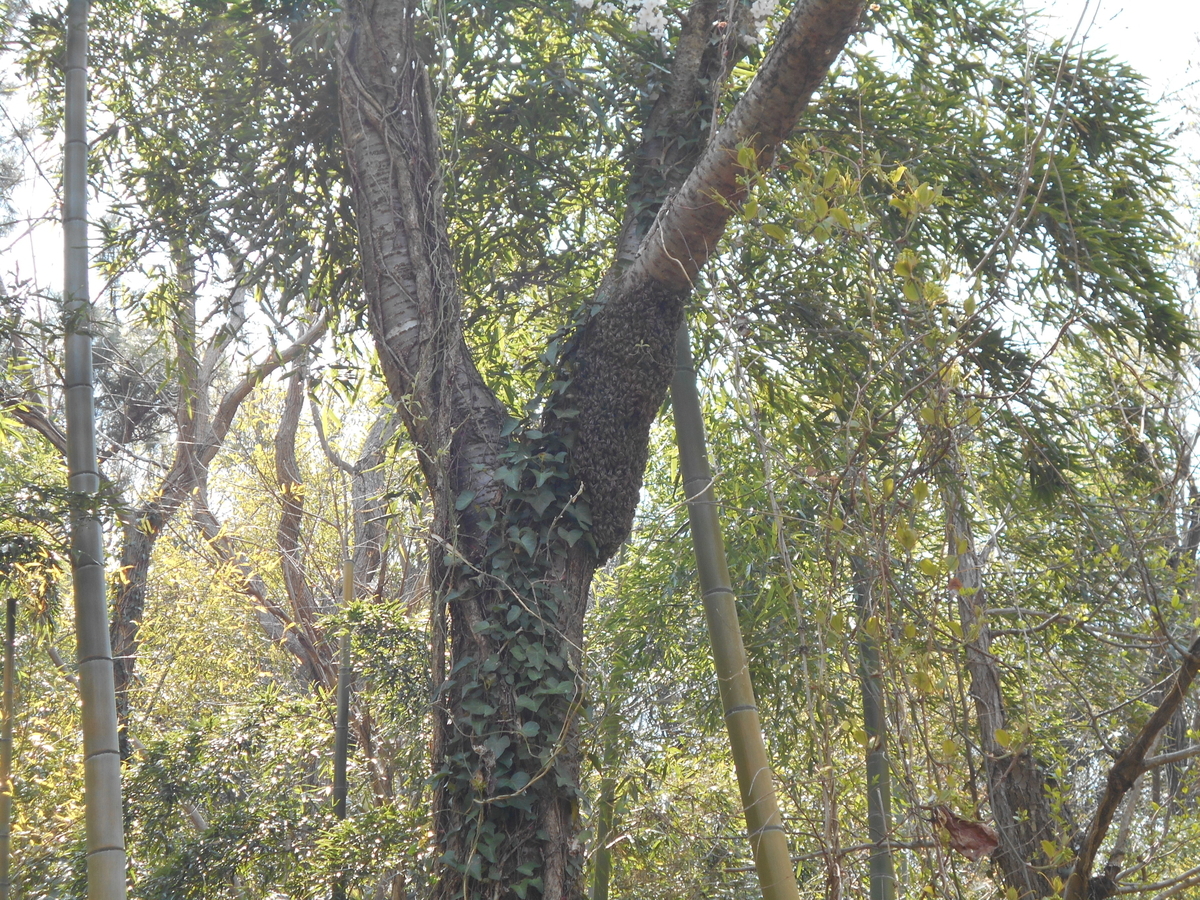 f:id:officeameyamajp:20190501191045j:plain