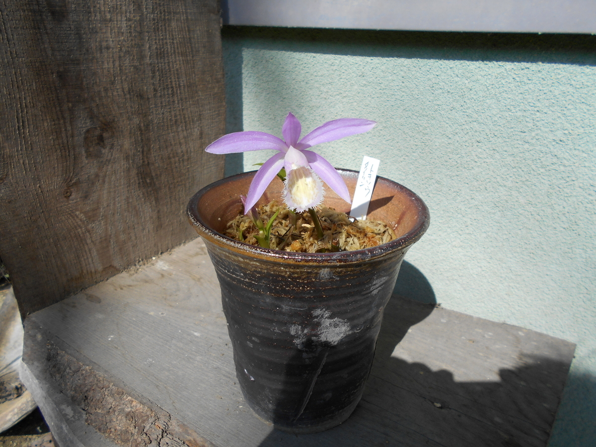 f:id:officeameyamajp:20190501191250j:plain