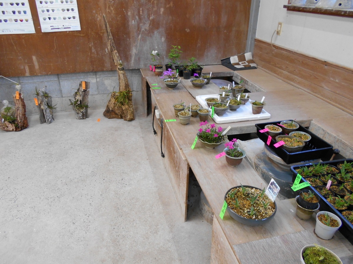 f:id:officeameyamajp:20190501191510j:plain