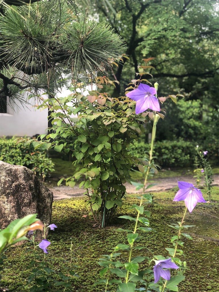 f:id:officebrillo:20190726134200j:image f:id:officebrillo:20190726134200j:image