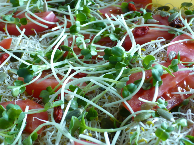 f:id:officelunch:20101029125856j:image:w150