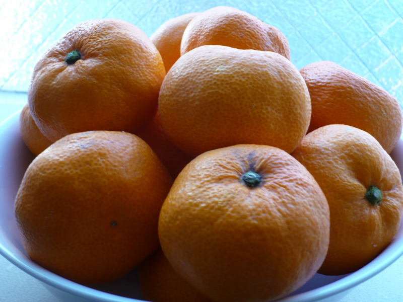 f:id:officelunch:20101229130355j:image:w100