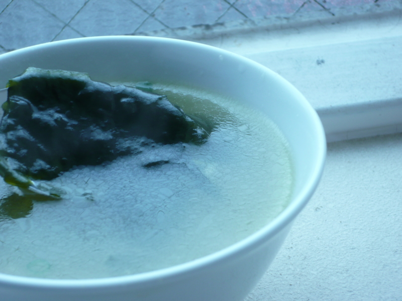 f:id:officelunch:20110202124855j:image:w150