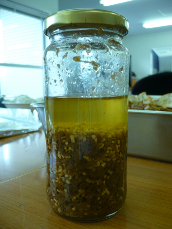 f:id:officelunch:20110513131233j:image:w300