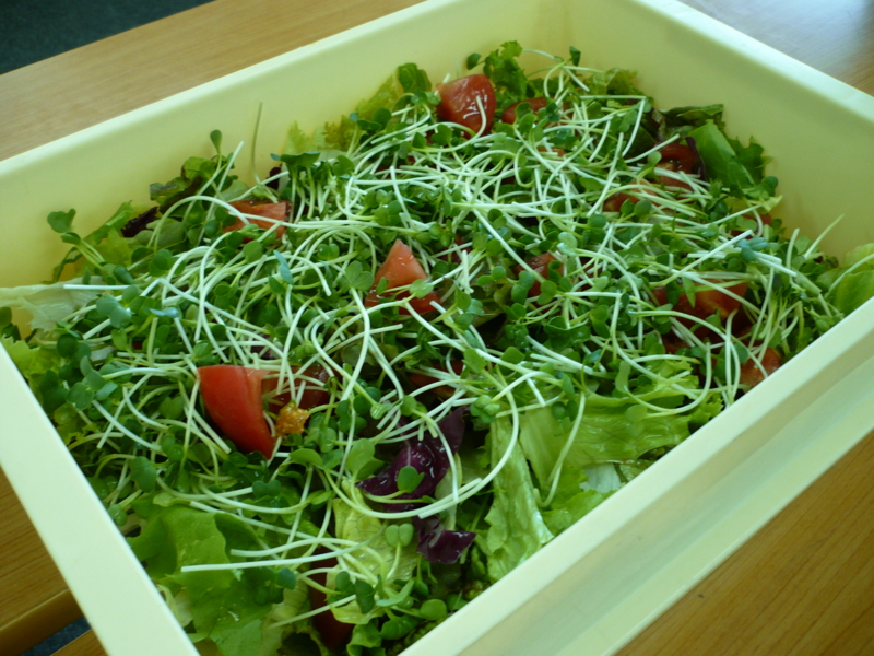 f:id:officelunch:20110617131331j:image:w150