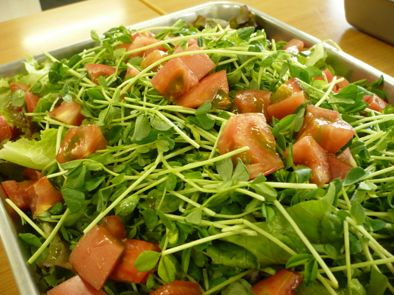 f:id:officelunch:20111014131921j:image:w150