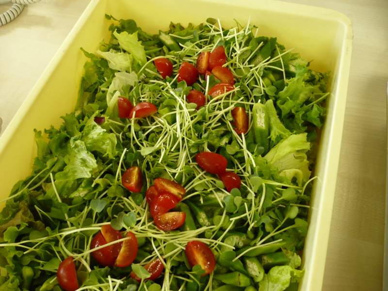 f:id:officelunch:20111021115428j:image:w150