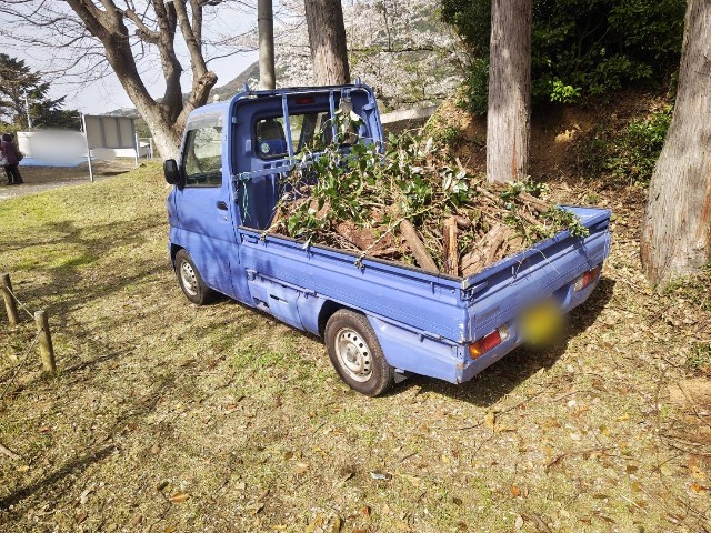 さくらの木 枝 軽トラ山積み 薪 まき 【公式通販】