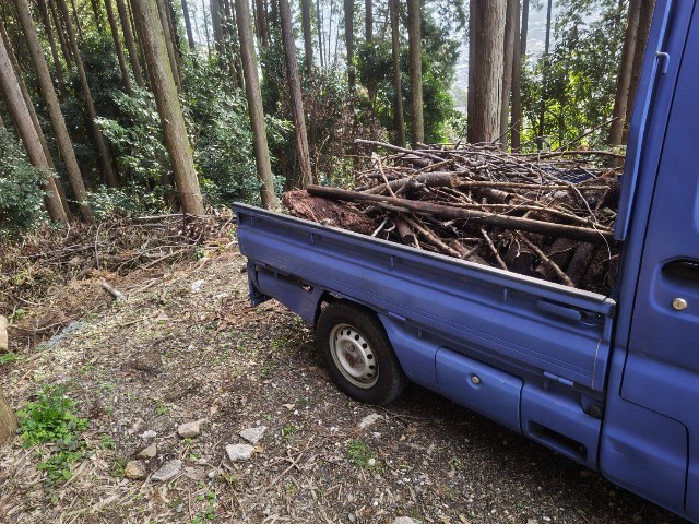 軽トラックの荷台が枝木でいっぱいになったら、 - 株式会社オフィス