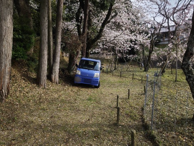 軽トラックの荷台が枝木でいっぱいになったら、 - 株式会社オフィス 