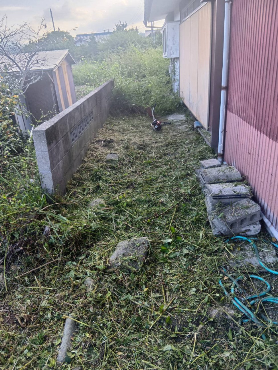 f:id:officesako:20260704013102j:image f:id:officesako:20260704013102j:image